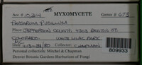 Image Associated With the Occurence